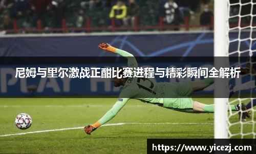 尼姆与里尔激战正酣比赛进程与精彩瞬间全解析
