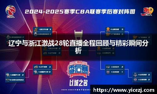 辽宁与浙江激战28轮直播全程回顾与精彩瞬间分析