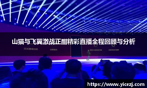 山猫与飞翼激战正酣精彩直播全程回顾与分析
