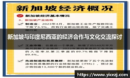 新加坡与印度尼西亚的经济合作与文化交流探讨