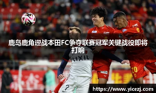 乐发Vll官网